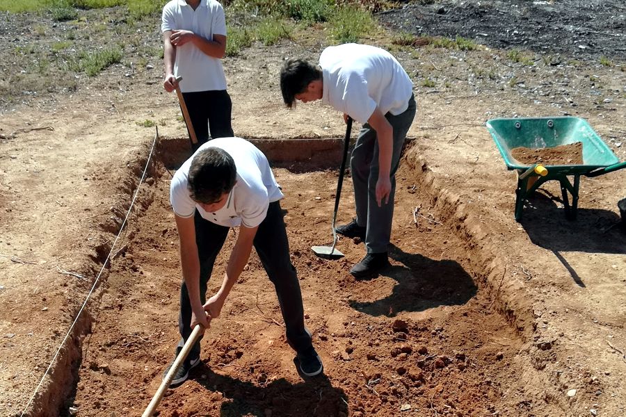 sociales-excavacion