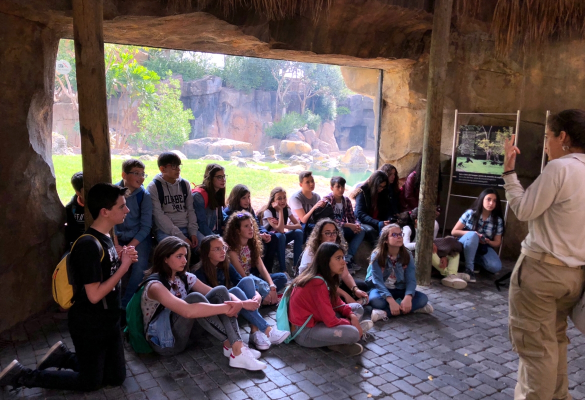 educacion-medioambiental