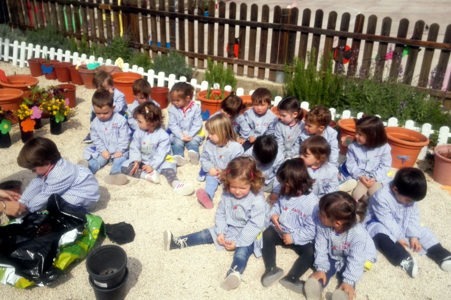 This image for Image Layouts addon